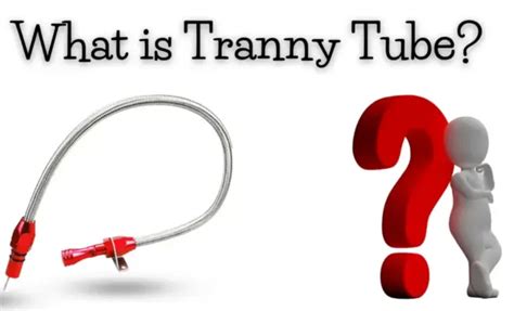 trany tube